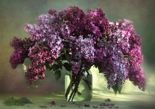 749197 (a): :2200x1545